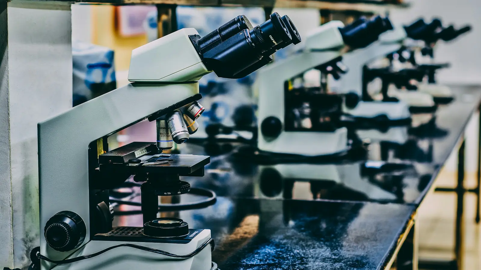 A row of microscopes on a laboratory bench